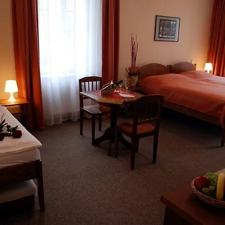 Hotel Karlin 3*