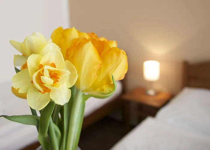 Karlin Hotel Praha