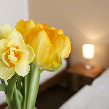 Karlin Hotel Praga